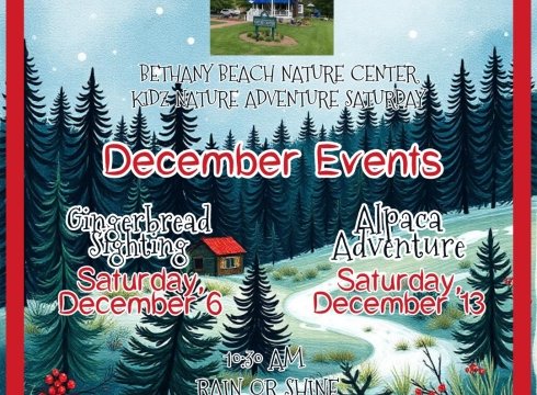 Kidz Nature Adventure Saturdays: Alpaca Adventure