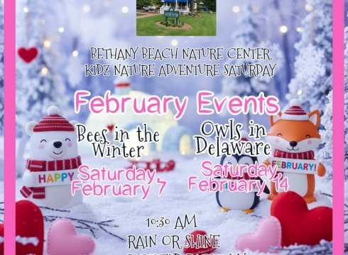 Kidz Nature Adventure Saturdays - Bees in the Winter
