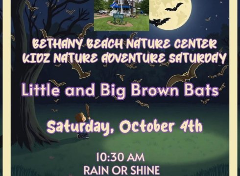 Kidz Nature Adventure Saturdays - Big and Little Brown Bats