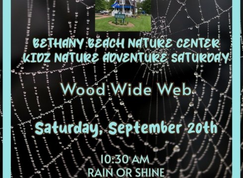 Kidz Nature Adventure Saturdays - World Wide Wood