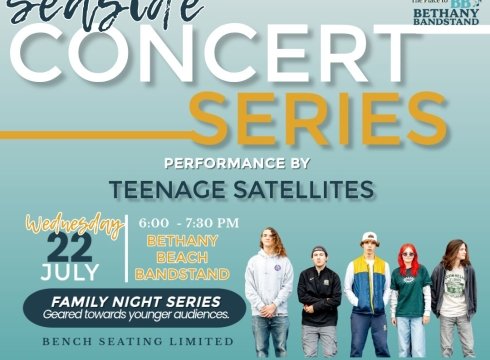 CANCELED: The Teenage Satellites