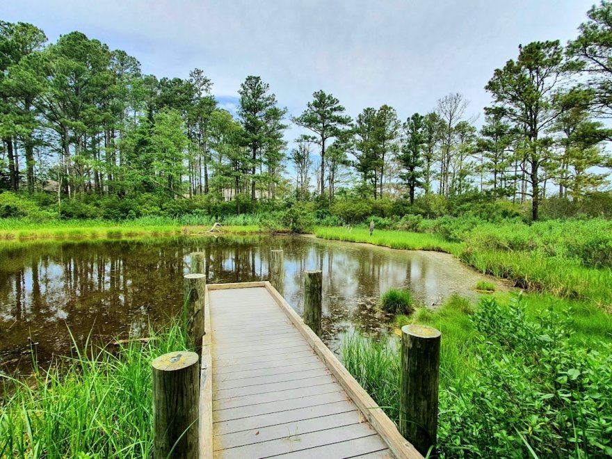 Bethany Beach Nature Center