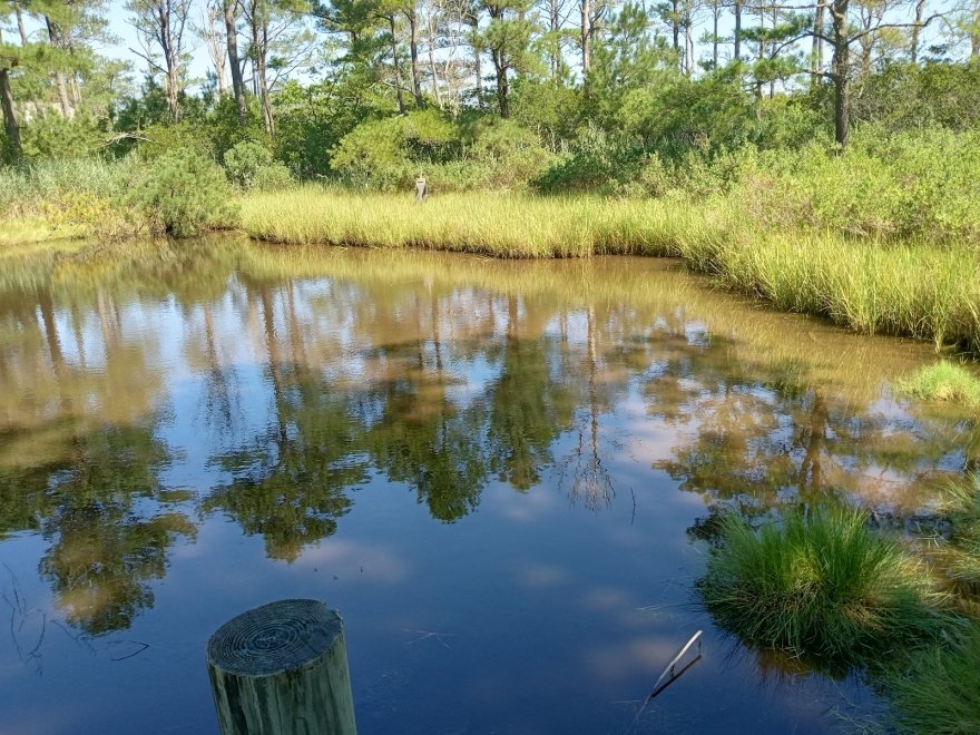 Bethany Beach Nature Center