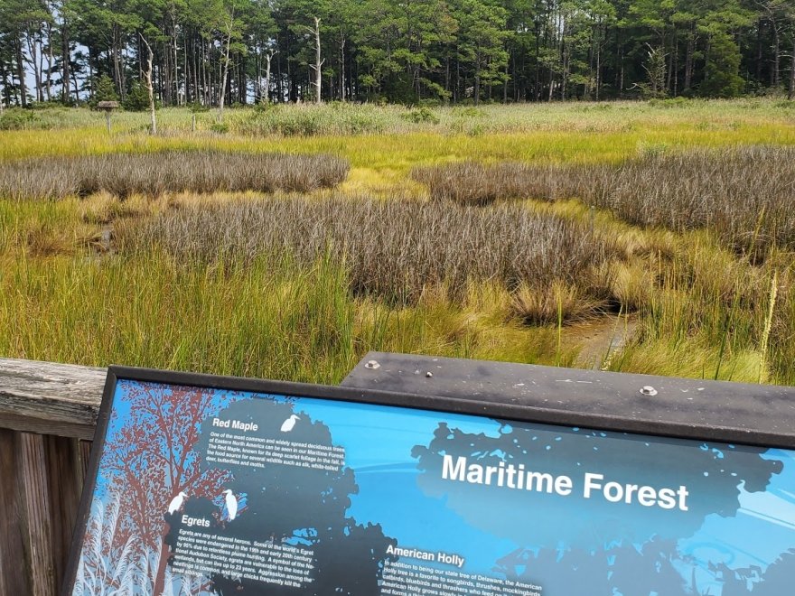 Bethany Beach Nature Center