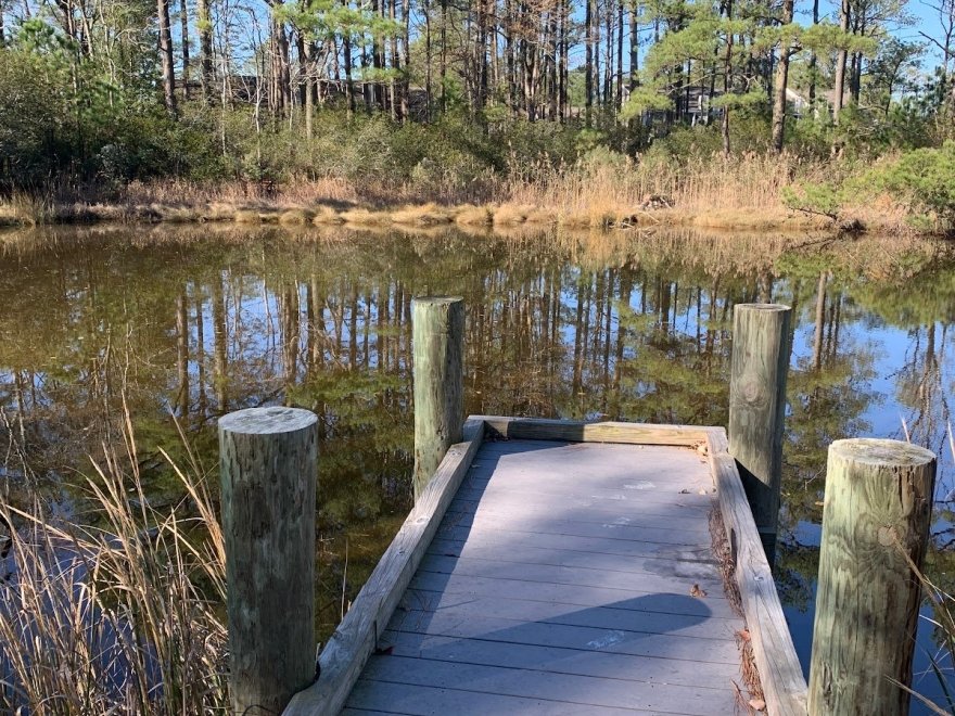 Bethany Beach Nature Center