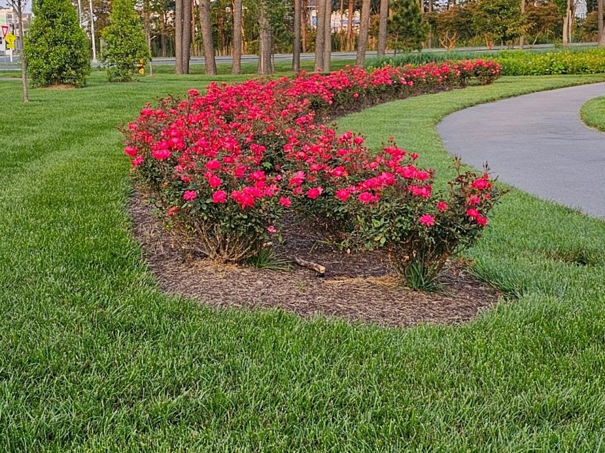 Bethany Beach Central Park