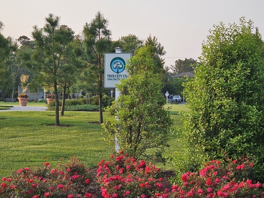 Bethany Beach Central Park