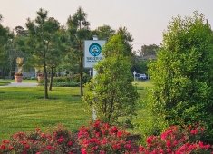 Bethany Beach Central Park