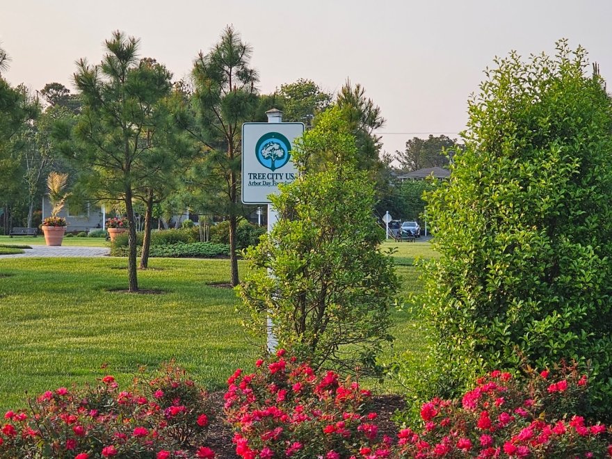 Bethany Beach Central Park