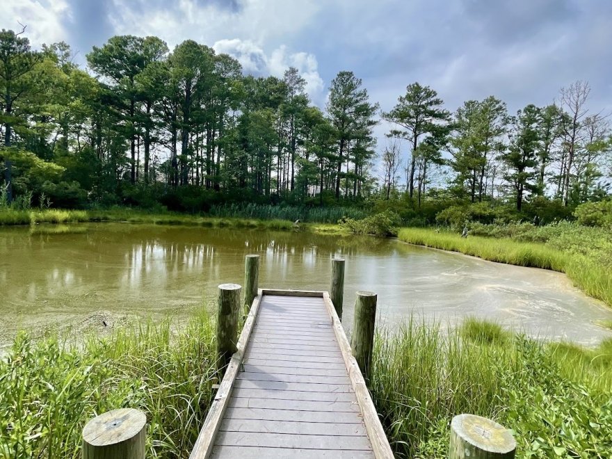 Bethany Beach Central Park