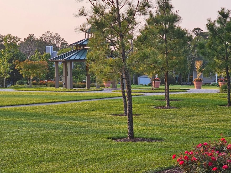 Bethany Beach Central Park