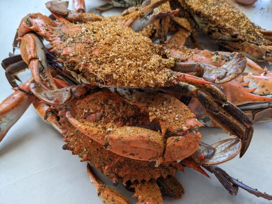 The Blue Crab