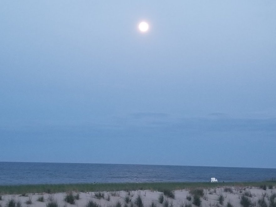 Sandcastle Realty