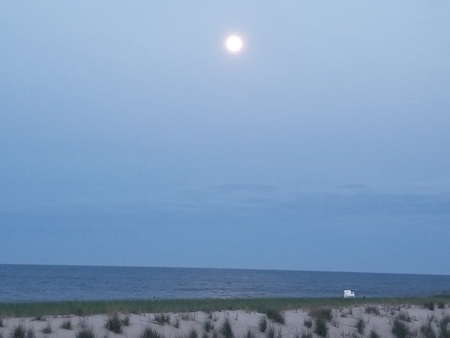 Sandcastle Realty